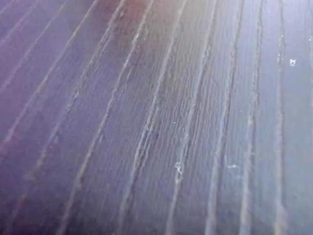 Offline AbbyJhonsS on BongaCams