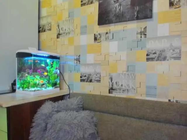 Offline AlisaKisa93 on BongaCams