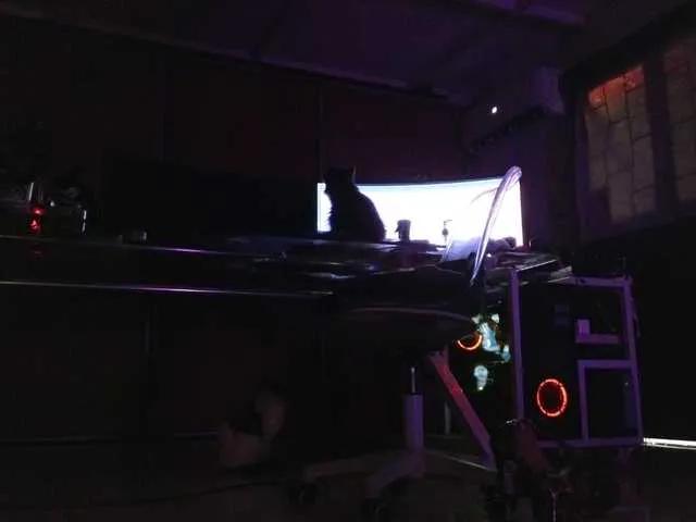 Freechat angelinasia on BongaCams