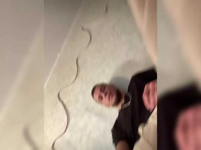 Offline SABENY on BongaCams