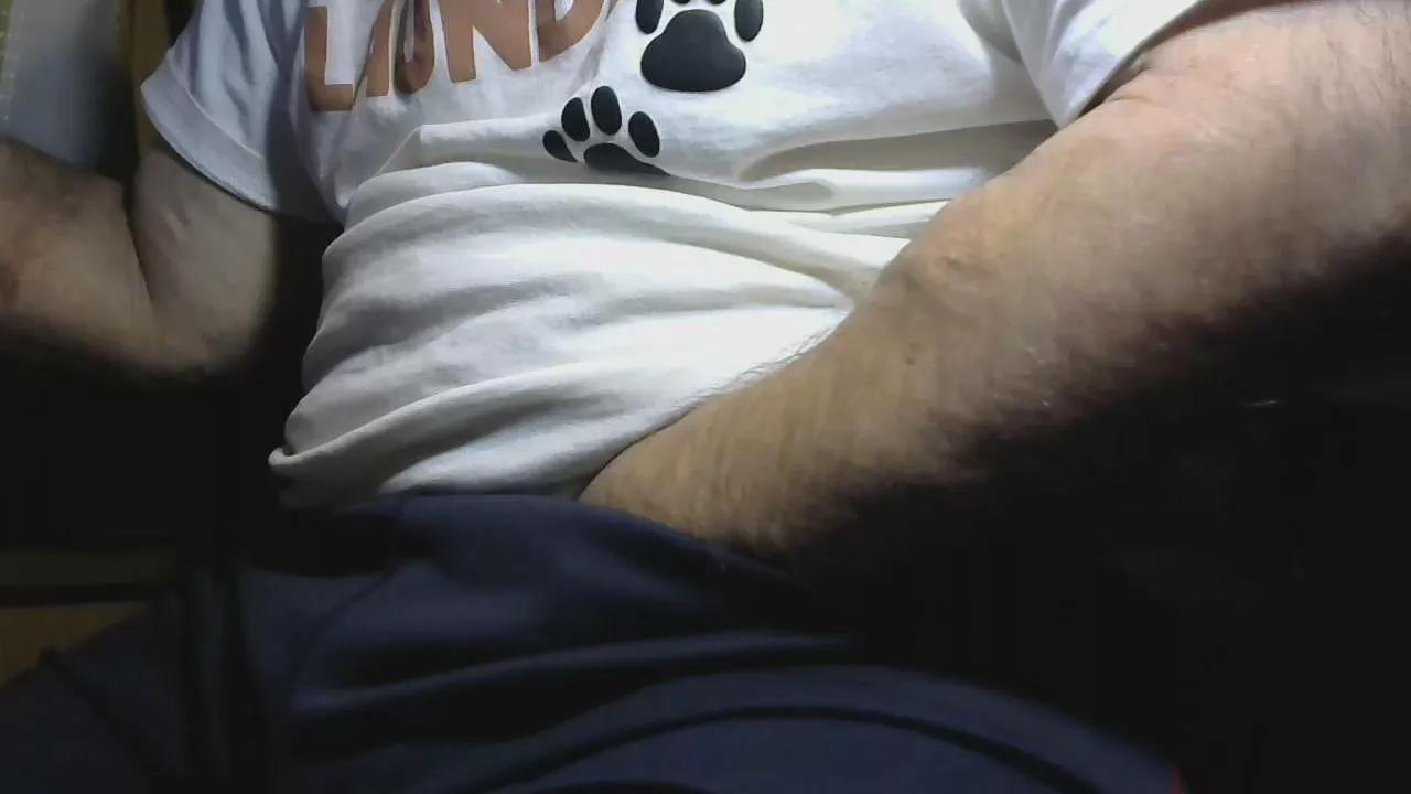 fluffbearr on Cam4 